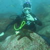 Picture taken during the dive