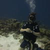 Picture taken during the dive