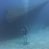 Picture taken during the dive