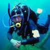 Picture taken during the dive