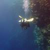 Picture taken during the dive
