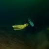 Picture taken during the dive