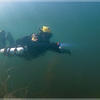 Picture taken during the dive