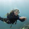 Picture taken during the dive
