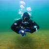 Picture taken during the dive
