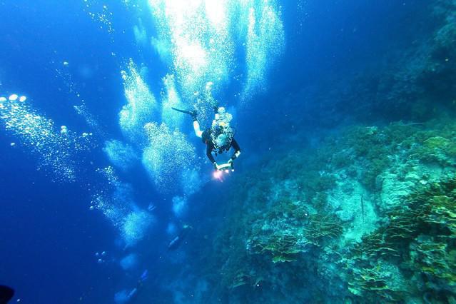 AVALON DIVERS - Dive Center in Egypt
