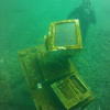Picture taken during the dive