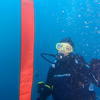 Picture taken during the dive