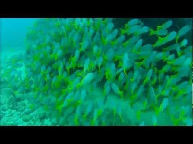 Dunas De Sal - Dive Center in Cape Verde