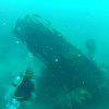 Picture taken during the dive