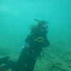 Picture taken during the dive
