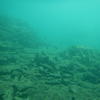 Picture taken during the dive