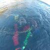 Picture taken during the dive