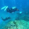 Picture taken during the dive