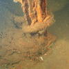 Picture taken during the dive