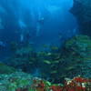 Picture taken during the dive