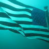 Picture taken during the dive