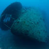 Picture taken during the dive