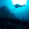 Picture taken during the dive