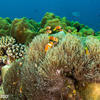 Picture taken during the dive