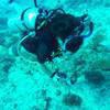 Picture taken during the dive
