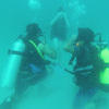Picture taken during the dive