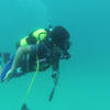 Picture taken during the dive