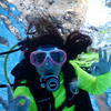 Picture taken during the dive