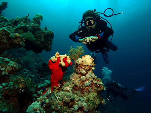 Vera Sub - Dive Center