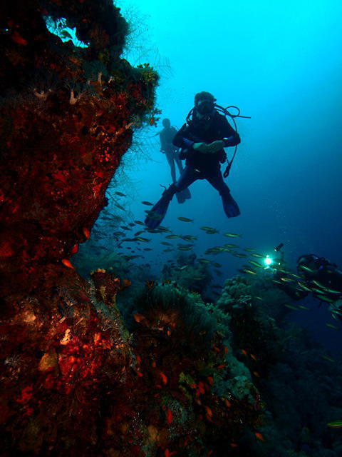 Vera Sub - Dive Center