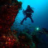 Picture taken during the dive