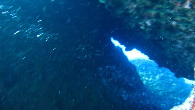 Scuba Kings Gozo - Dive Center in Malta