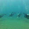 Picture taken during the dive