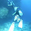 Picture taken during the dive