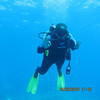 Picture taken during the dive