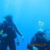 Picture taken during the dive