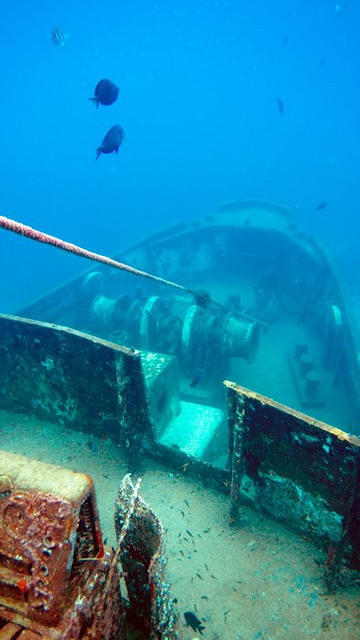Scubafun - Dive Center in Dominican Republic