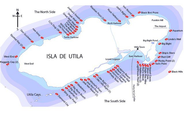 Parrots Dive Center - Dive Center in United States