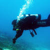 Picture taken during the dive