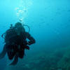 Picture taken during the dive