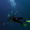 Picture taken during the dive