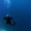 Picture taken during the dive