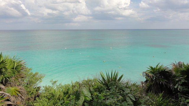 Pro Dive Mexico - Dive Center in United States