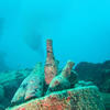 Picture taken during the dive
