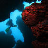 Picture taken during the dive