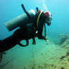 Picture taken during the dive