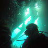 Picture taken during the dive