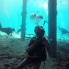 Picture taken during the dive