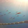 Picture taken during the dive