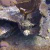 Picture taken during the dive